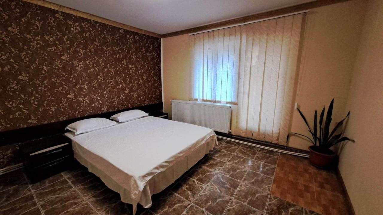 Pensiunea Burciu Salcioara  Buitenkant foto