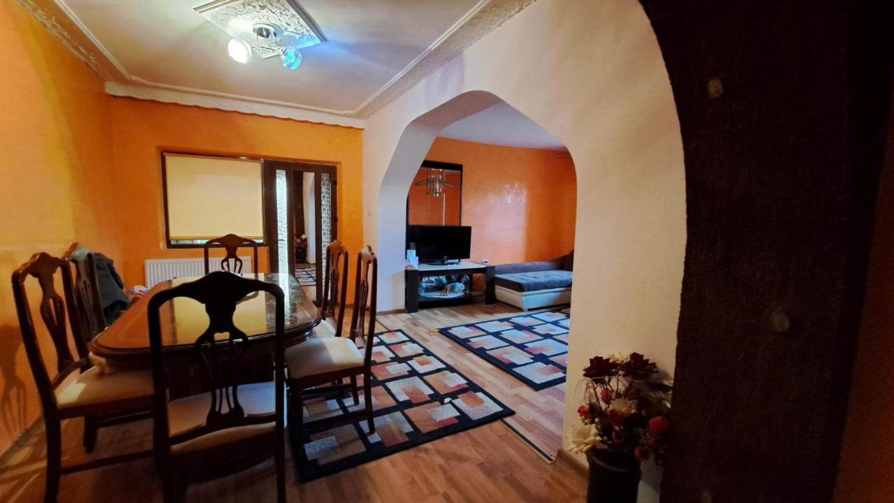 Pensiunea Burciu Salcioara  Buitenkant foto