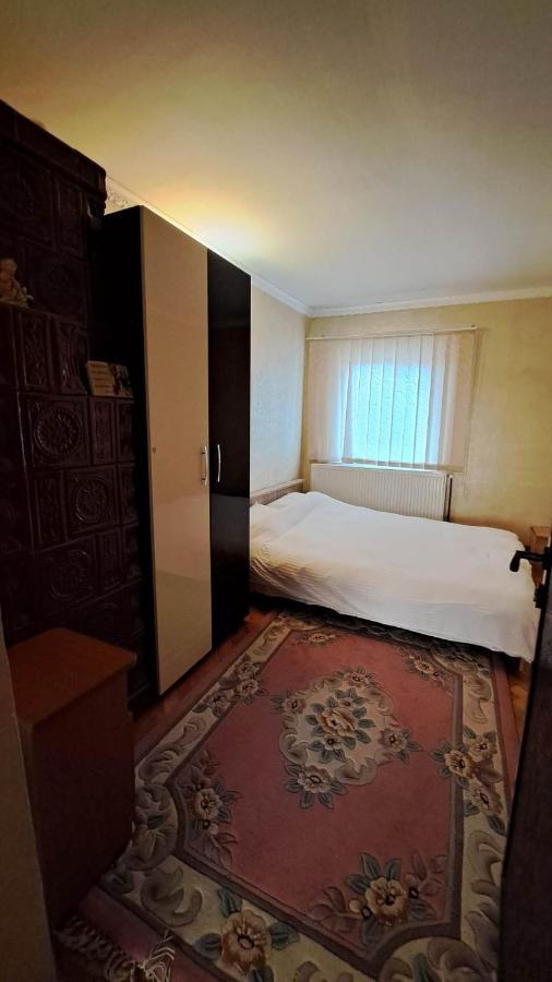 Pensiunea Burciu Salcioara  Buitenkant foto