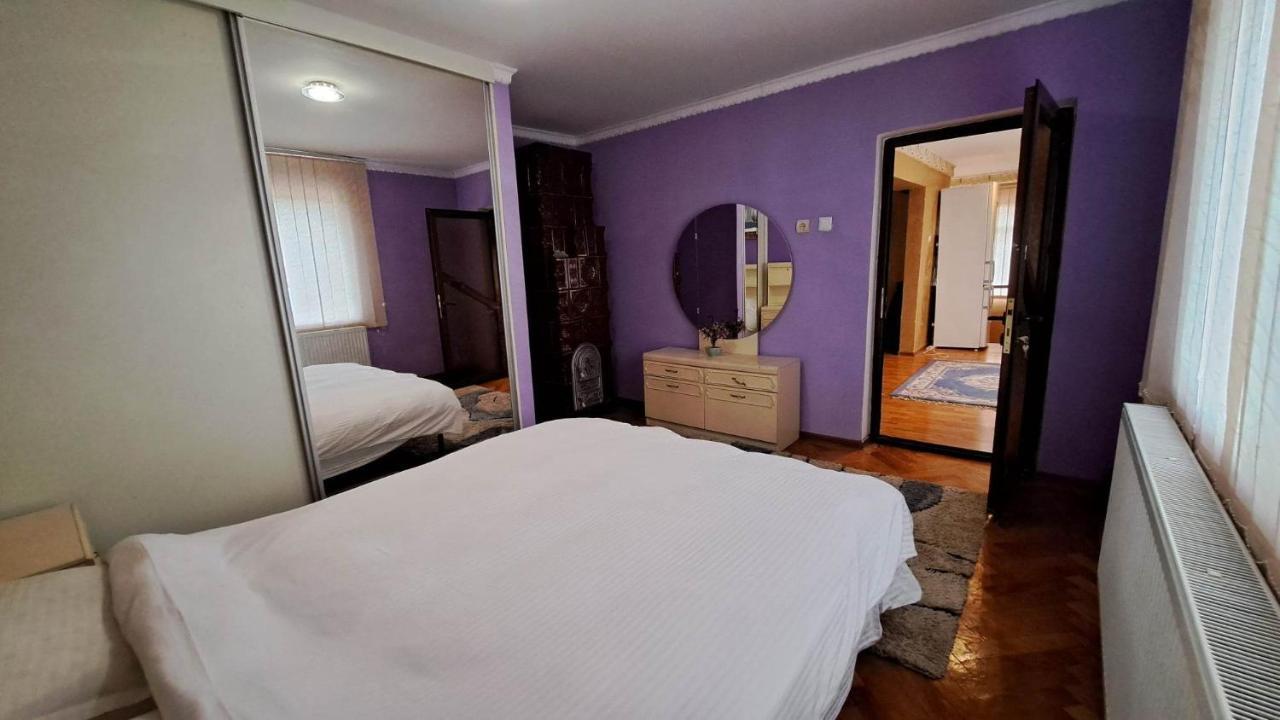Pensiunea Burciu Salcioara  Buitenkant foto