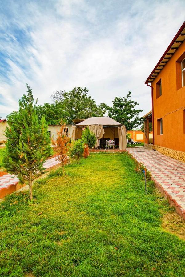 Pensiunea Burciu Salcioara  Buitenkant foto